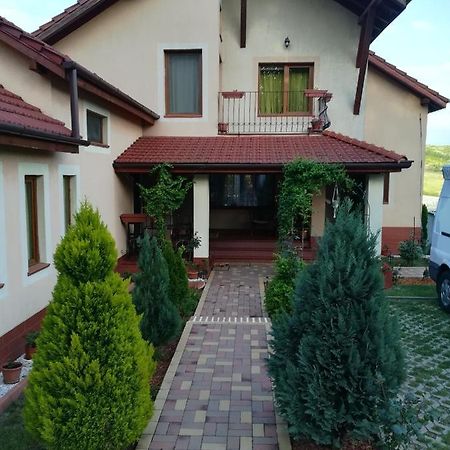 Casa Doina Apartman Félixfürdő Kültér fotó