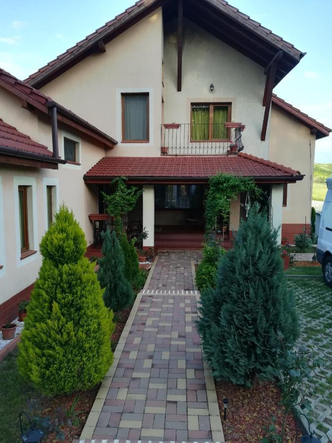 Casa Doina Apartman Félixfürdő Kültér fotó