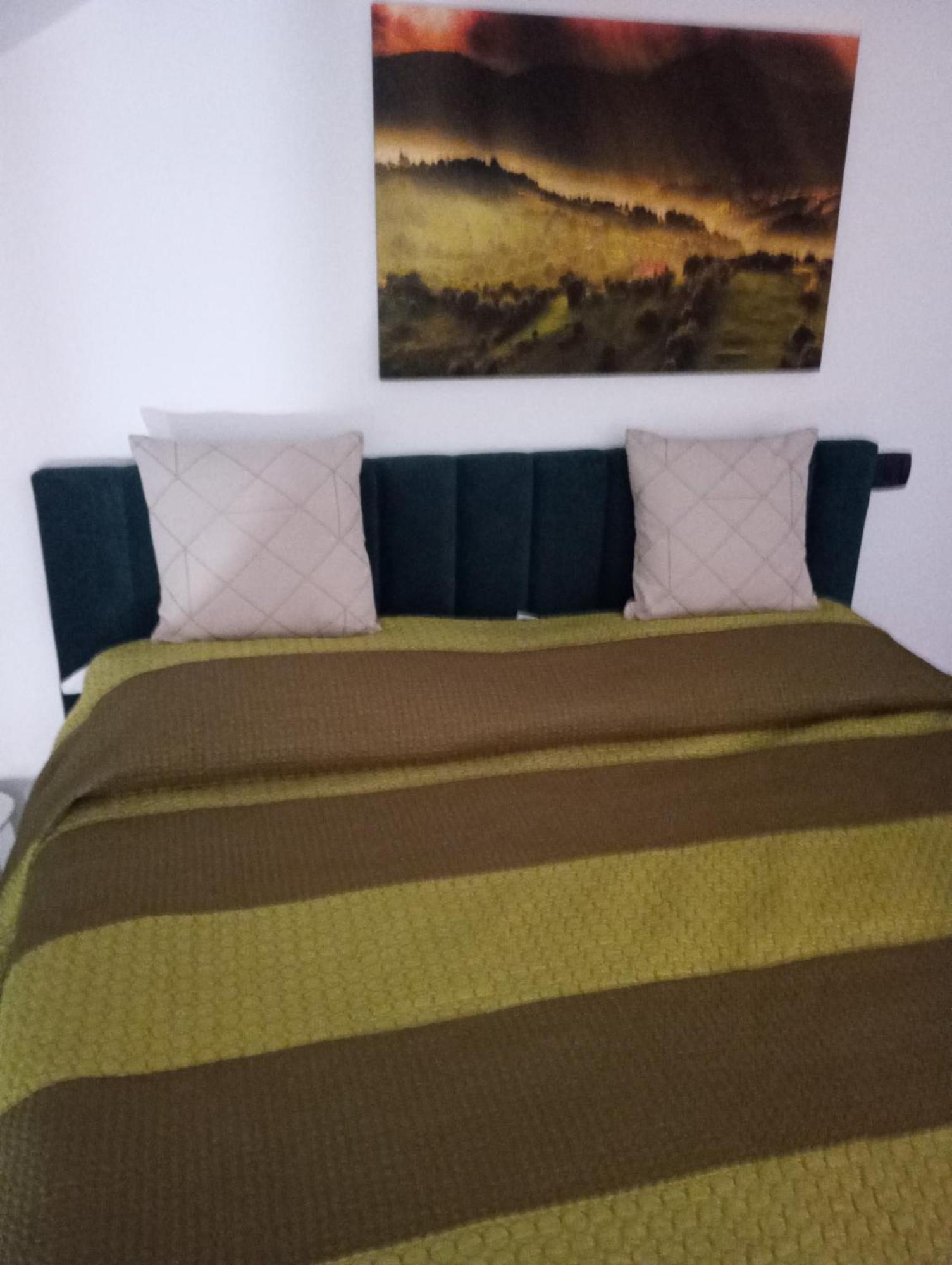 Casa Doina Apartman Félixfürdő Kültér fotó