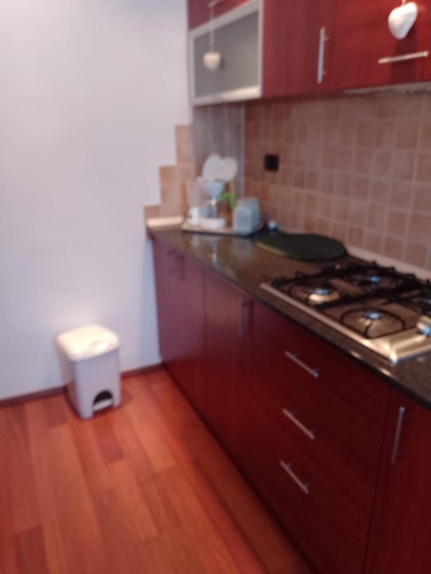 Casa Doina Apartman Félixfürdő Kültér fotó