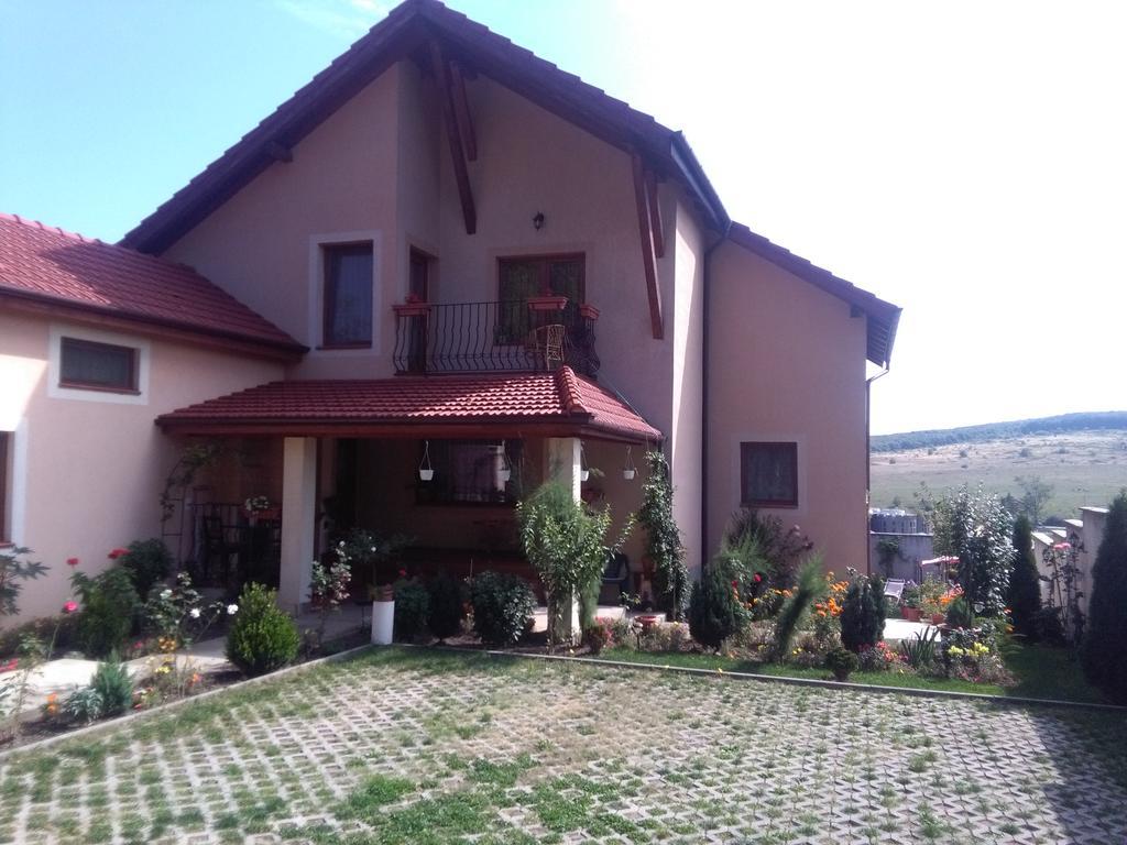 Casa Doina Apartman Félixfürdő Kültér fotó