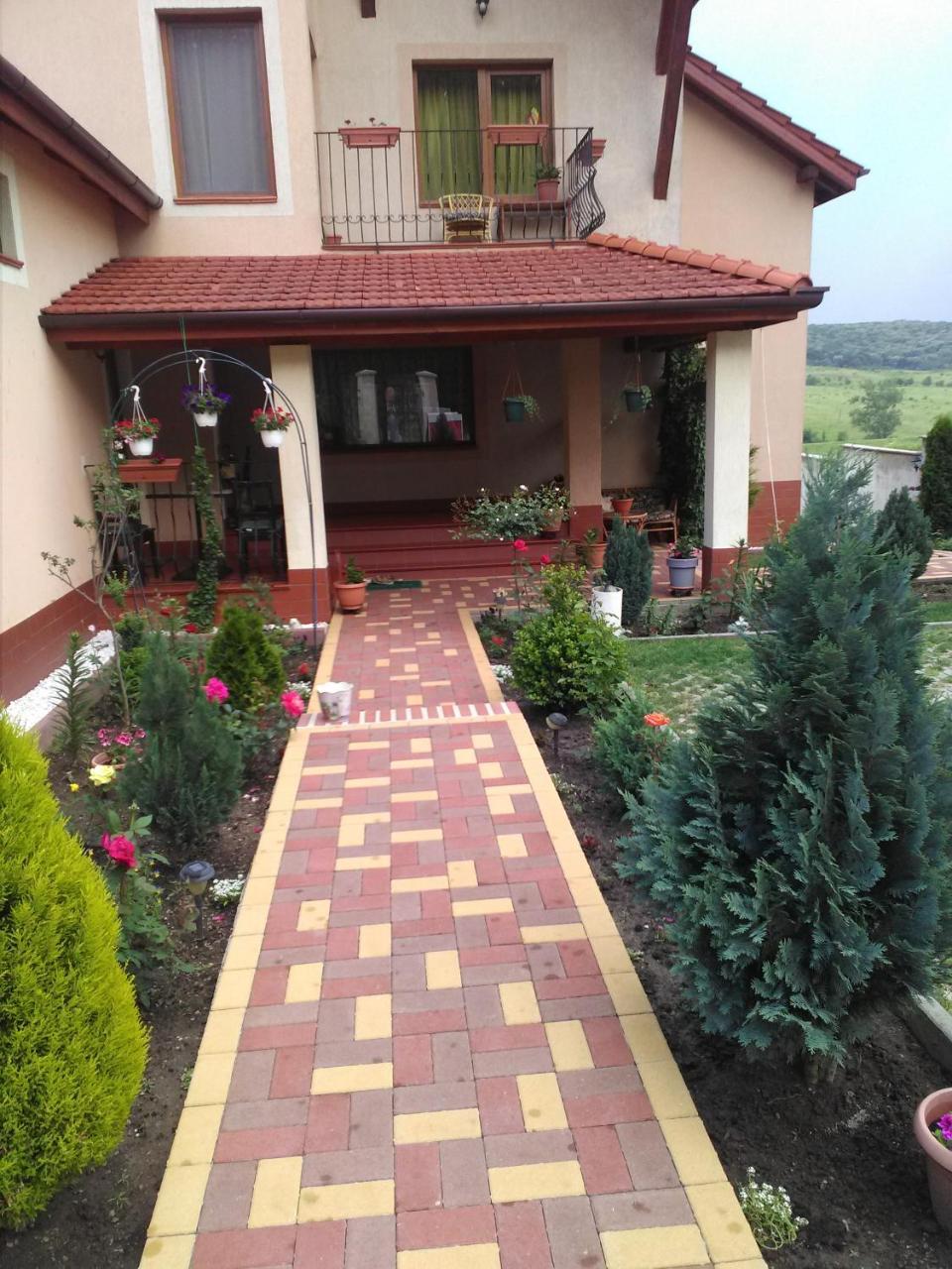 Casa Doina Apartman Félixfürdő Kültér fotó